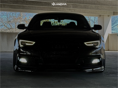 1 2015 S5 Audi Premium Plus Unknown Lowering Springs Anovia Elder Brushed Apollo Silver